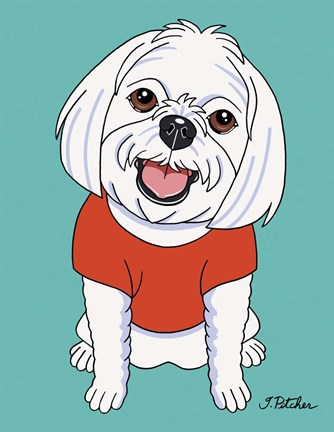 Framed Maltese Print