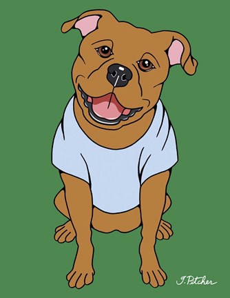 Framed Pitbull Print