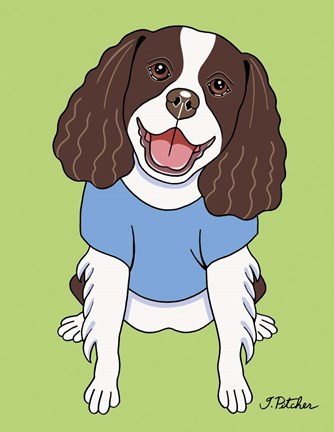 Framed Springer Spaniel Print