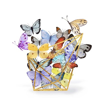 Framed Butterfly Terrarium Print