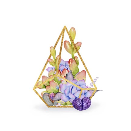 Framed Succulent Terrarium Print