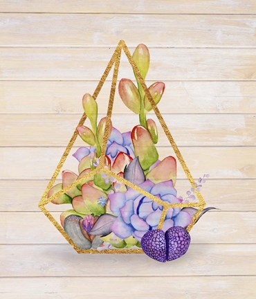 Framed Rustic Succulent Terrarium Print