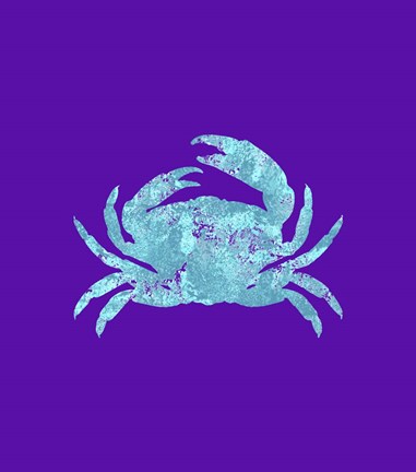 Framed Sponge Crab Aqua Print