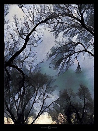 Framed End Of Day Winter Trees Print