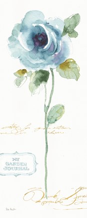 Framed Rainbow Seeds Loose Floral I Print