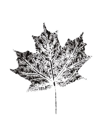 Framed Harvest Sentiments I BW no Words Print