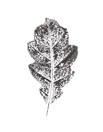 Framed Harvest Sentiments VIII BW no Words Print