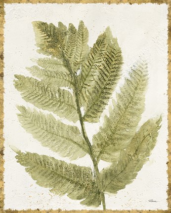 Framed Forest Ferns I Antique Print
