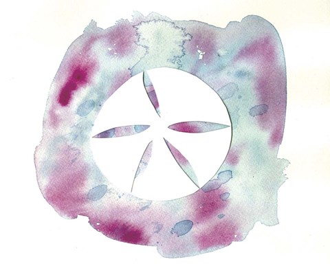 Framed Watercolor Sand Dollar Print