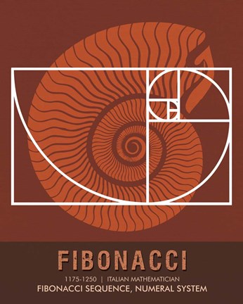 Framed Fibonacci Print