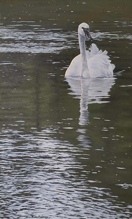 Framed On the Madison Print