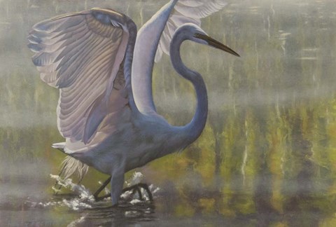 Framed Razzle Dazzle Print