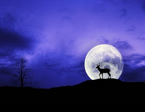 Framed Big Moon Print