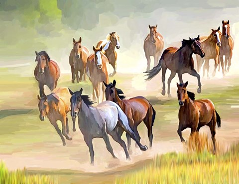 Framed Wild Horses Running Print