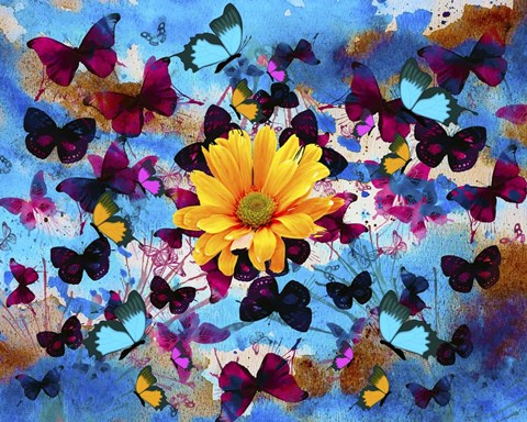 Framed Daisy And Butterflies Print