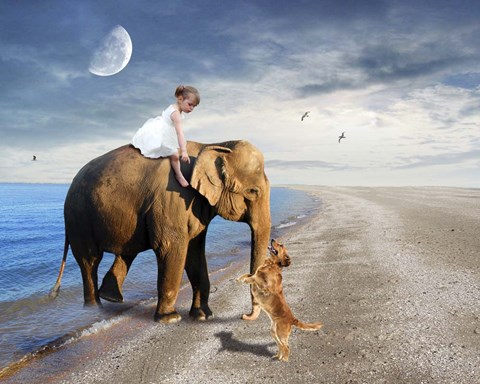 Framed Come Up Print