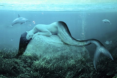 Framed Sleeping Mermaid Print