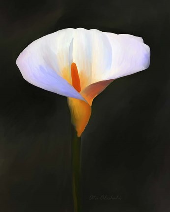 Framed Beautiful Flower Print