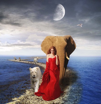 Framed Land and Sea Print