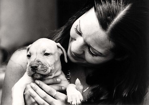 Framed My Poppy Print