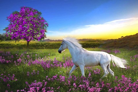 Framed Purple Land Print