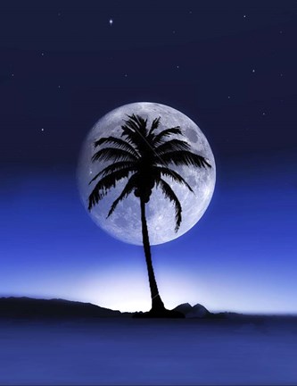 Framed Big Moon Night Print