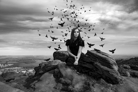 Framed Black Bird Queen Print