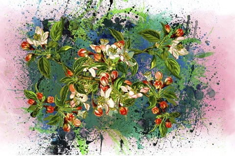 Framed Flower Design 2 Print