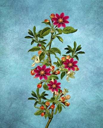 Framed Color Leaves 2 Print