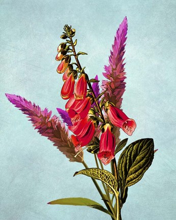 Framed Color Leaves B Print