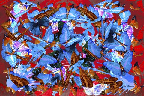 Framed Floral Design D Print