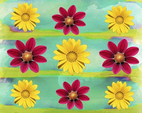 Framed Floral Design G Print