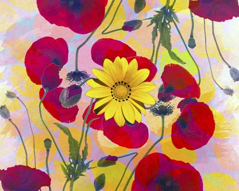 Framed Floral Design H Print