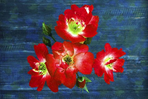 Framed Floral Design J Print