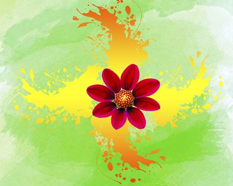 Framed Floral Design K Print