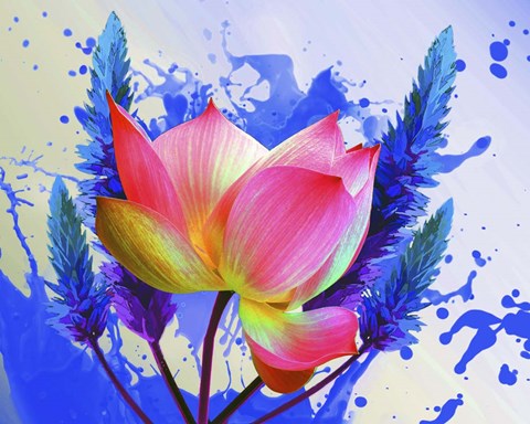 Framed Floral Design M Print