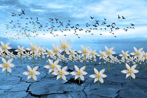 Framed Dead Earth Print