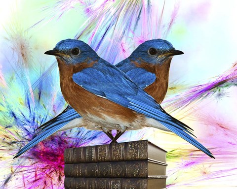 Framed Twin Blue Bird Print