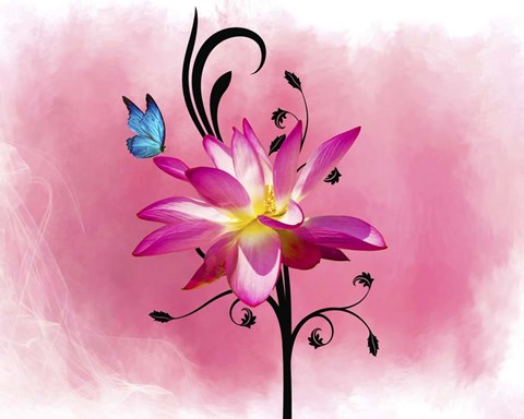 Framed Butterfly Flower 3 Print