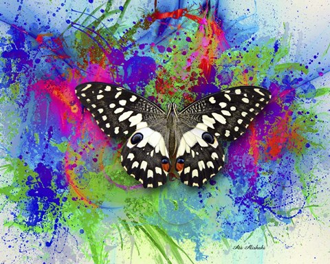Framed Color and Butterfly 2 Print