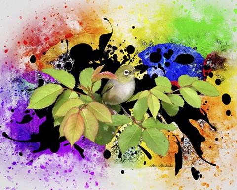 Framed Color Bird Print