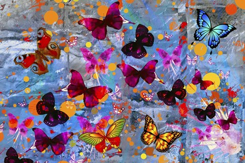 Framed Butterflies Season Print