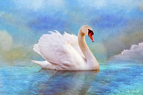 Framed Swab 8B Print