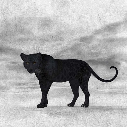 Framed Jaguar 2 Print