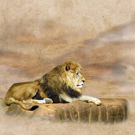 Framed King 1B Print