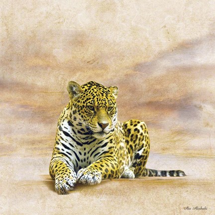 Framed Leopard 2A Print