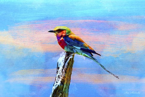 Framed Blue Bird 2B Print