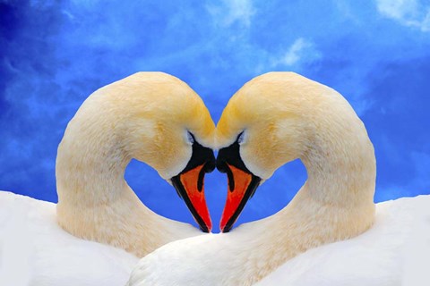 Framed Soul mate Print