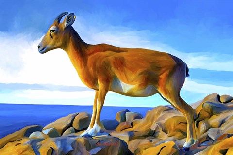 Framed Wild Life 2 Print