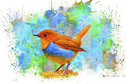 Framed Bird Collection 4 Print